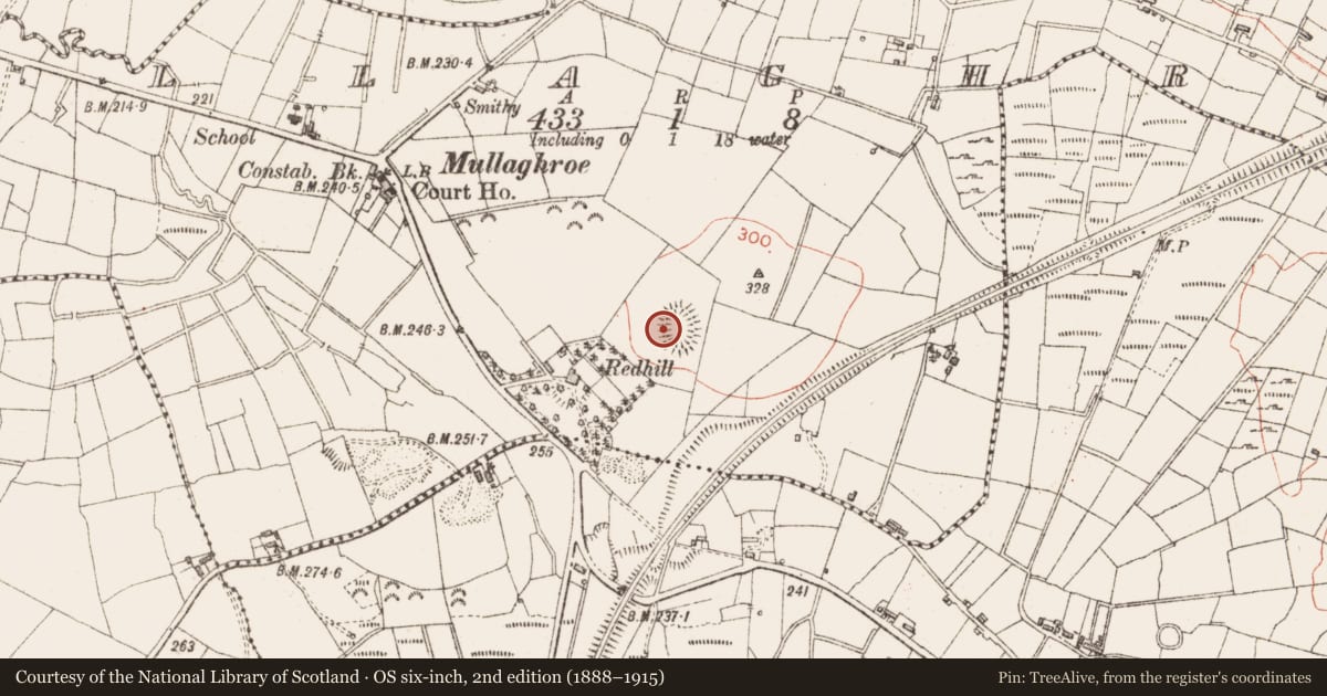 Ordnance Survey six-inch map, 2nd edition (1888–1915) covering the location of Ringfort - rath, Mullaghroe, County Sligo, with a pin at the register's coordinates