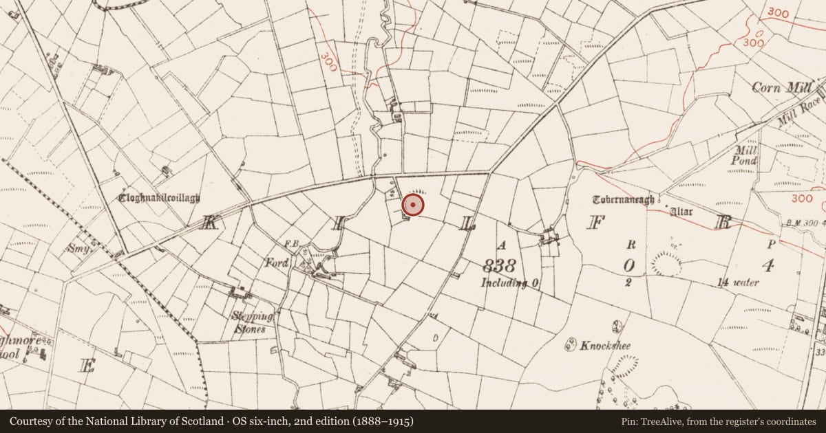 Ordnance Survey six-inch map, 2nd edition (1888–1915) covering the location of Ringfort - rath, Kilfree, County Sligo, with a pin at the register's coordinates