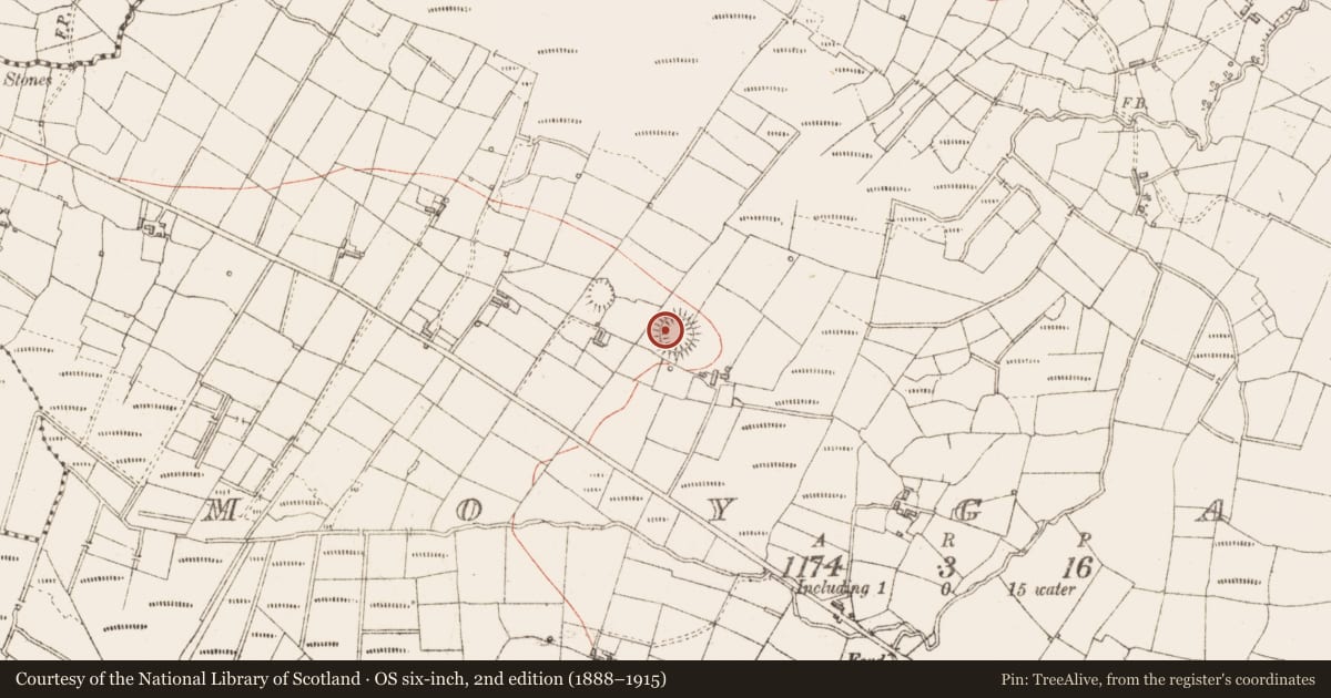 Ordnance Survey six-inch map, 2nd edition (1888–1915) covering the location of Ringfort - rath, Moygara, County Sligo, with a pin at the register's coordinates