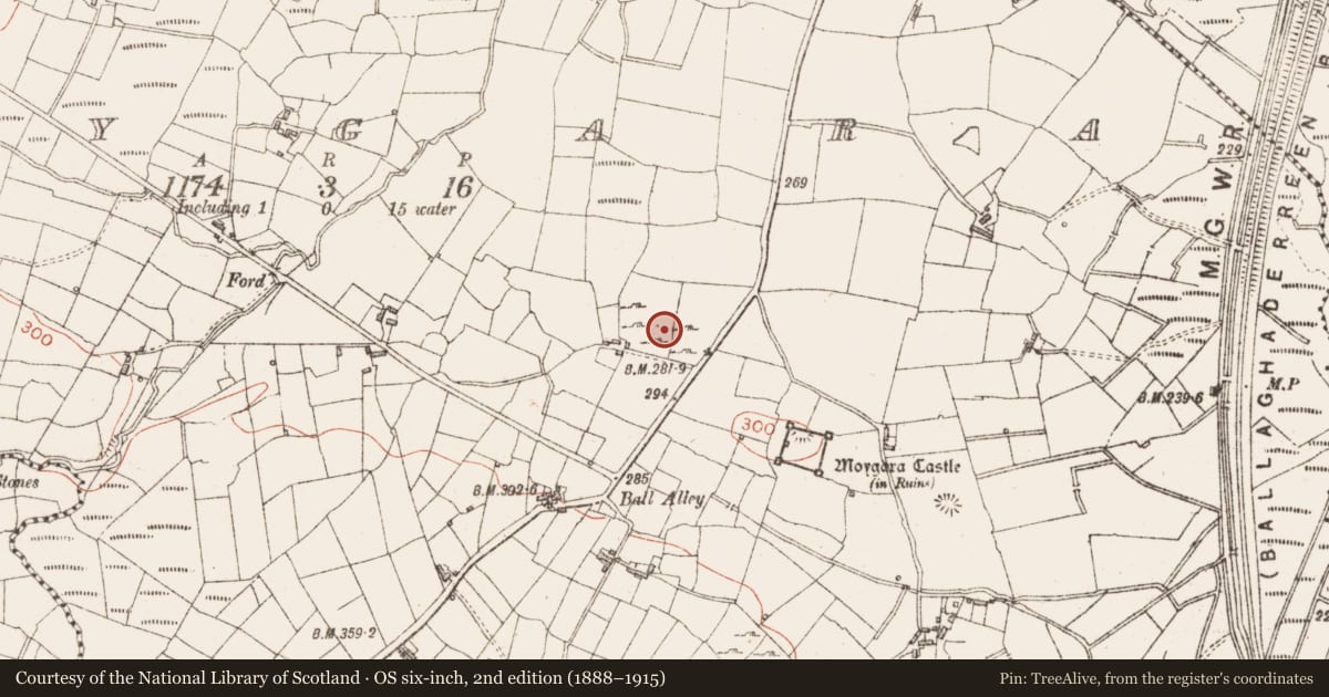 Ordnance Survey six-inch map, 2nd edition (1888–1915) covering the location of Megalithic tomb - court tomb, Moygara, County Sligo, with a pin at the register's coordinates