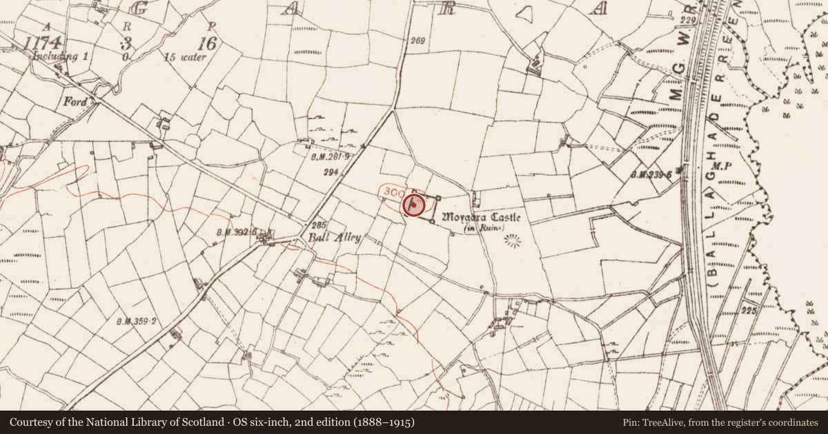 Ordnance Survey six-inch map, 2nd edition (1888–1915) covering the location of Exhibitionist figure, Moygara, County Sligo, with a pin at the register's coordinates
