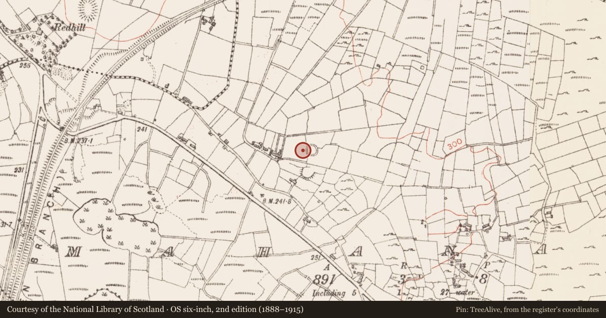 Ordnance Survey six-inch map, 2nd edition (1888–1915) covering the location of Ringfort - cashel, Mahanagh, County Sligo, with a pin at the register's coordinates