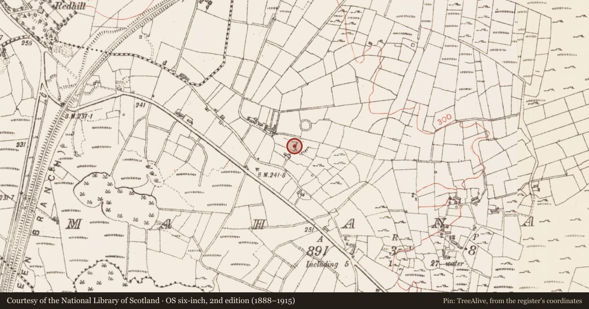 Ordnance Survey six-inch map, 2nd edition (1888–1915) covering the location of Ringfort - cashel, Mahanagh, County Sligo, with a pin at the register's coordinates