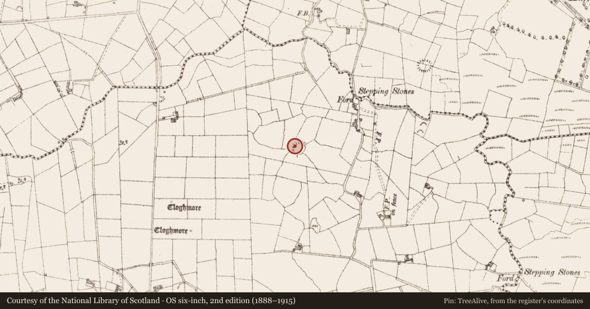 Ordnance Survey six-inch map, 2nd edition (1888–1915) covering the location of Ringfort - cashel, Doon, County Sligo, with a pin at the register's coordinates