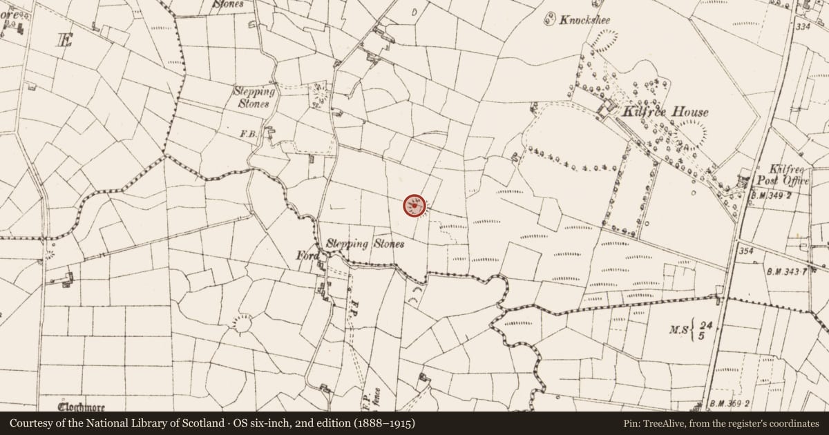 Ordnance Survey six-inch map, 2nd edition (1888–1915) covering the location of Ringfort - cashel, Kilfree, County Sligo, with a pin at the register's coordinates