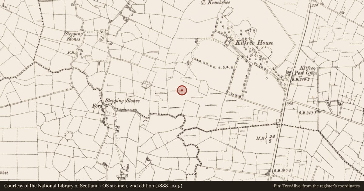 Ordnance Survey six-inch map, 2nd edition (1888–1915) covering the location of Megalithic tomb - wedge tomb, Kilfree, County Sligo, with a pin at the register's coordinates