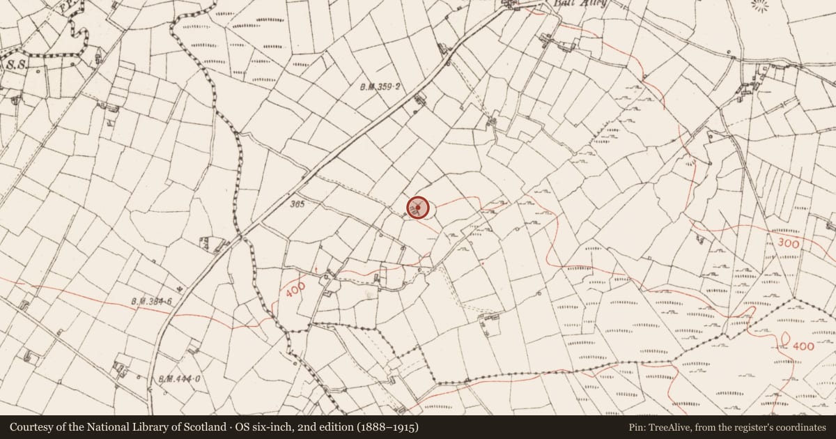 Ordnance Survey six-inch map, 2nd edition (1888–1915) covering the location of Ringfort - cashel, Moygara, County Sligo, with a pin at the register's coordinates