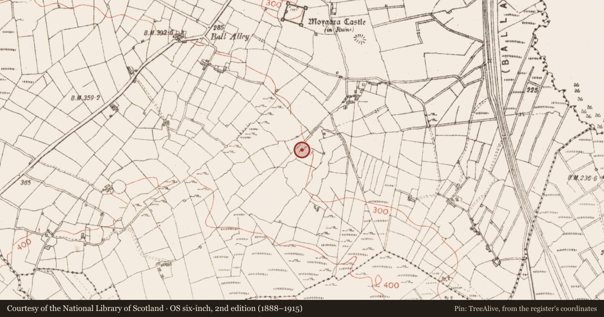 Ordnance Survey six-inch map, 2nd edition (1888–1915) covering the location of Ringfort - cashel, Moygara, County Sligo, with a pin at the register's coordinates