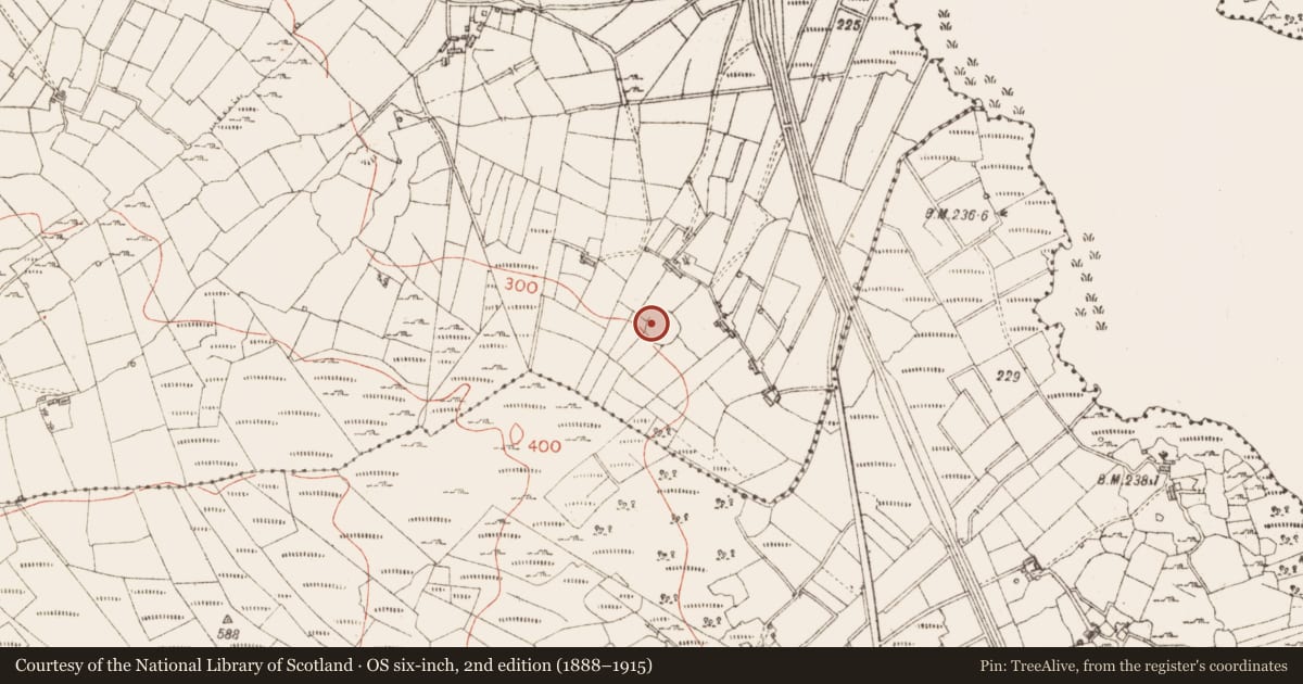 Ordnance Survey six-inch map, 2nd edition (1888–1915) covering the location of Ringfort - rath, Moygara, County Sligo, with a pin at the register's coordinates