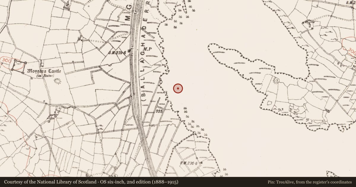Ordnance Survey six-inch map, 2nd edition (1888–1915) covering the location of Crannog, Lough Gara, County Sligo, with a pin at the register's coordinates
