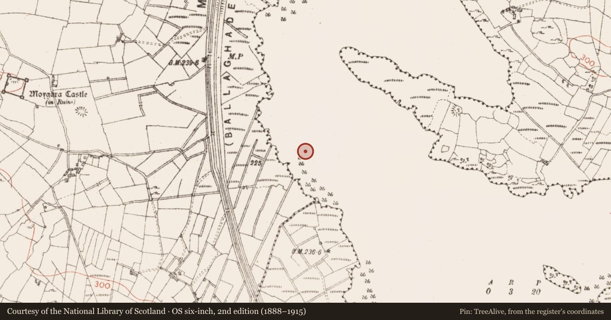 Ordnance Survey six-inch map, 2nd edition (1888–1915) covering the location of Crannog, Lough Gara, County Sligo, with a pin at the register's coordinates