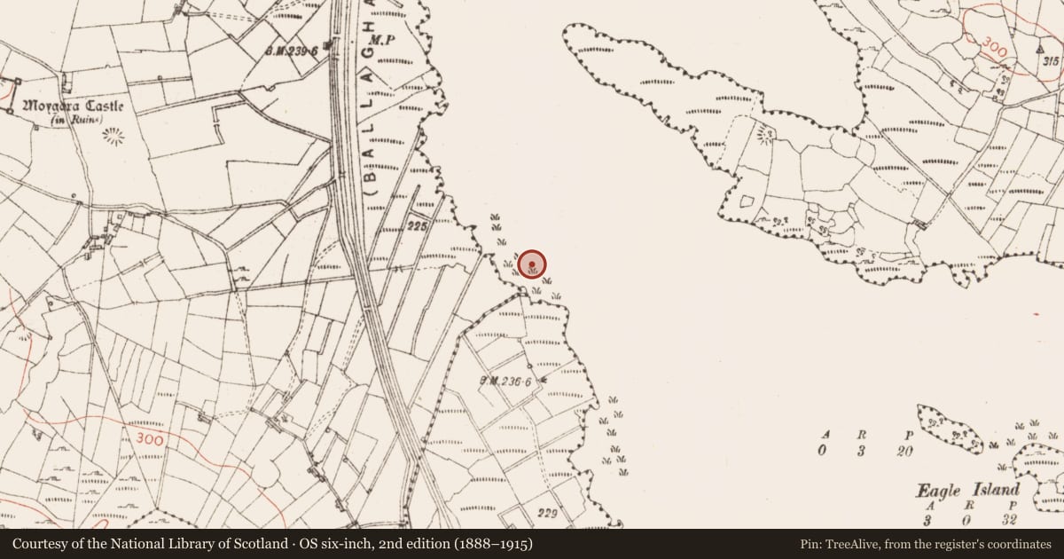 Ordnance Survey six-inch map, 2nd edition (1888–1915) covering the location of Crannog, Lough Gara, County Sligo, with a pin at the register's coordinates