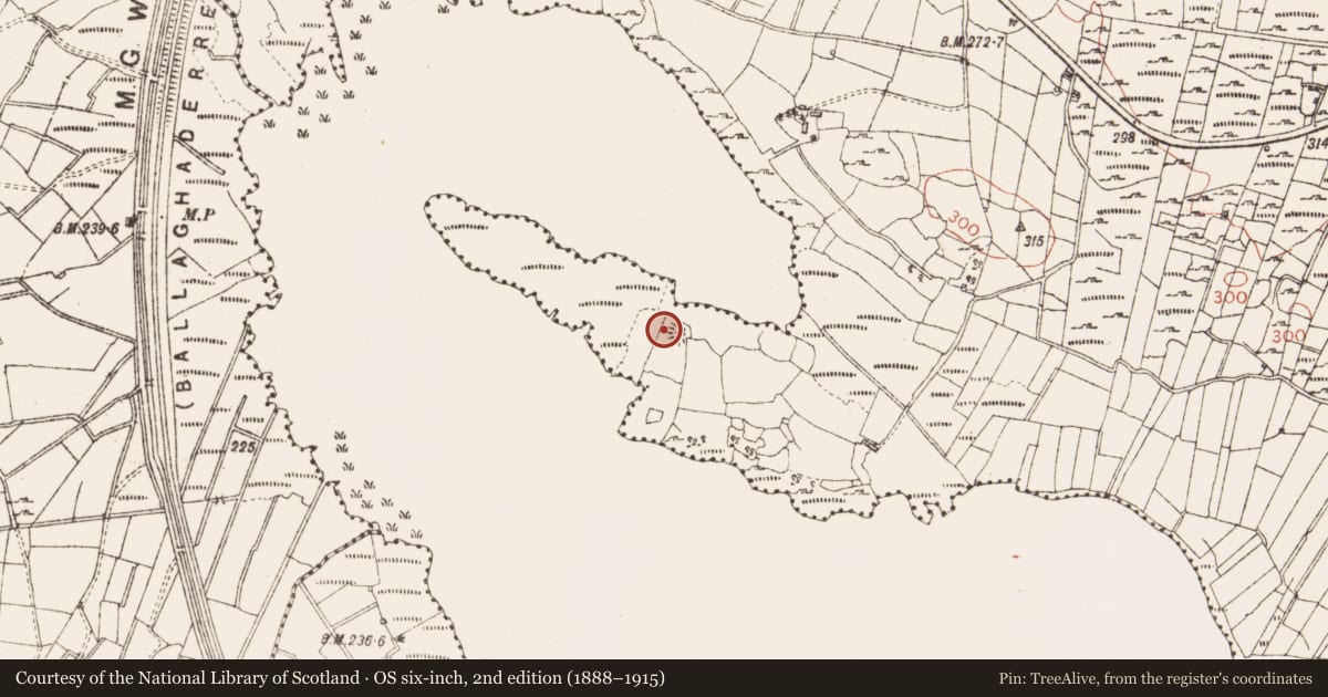 Ordnance Survey six-inch map, 2nd edition (1888–1915) covering the location of Cairn - unclassified, Mahanagh, County Sligo, with a pin at the register's coordinates