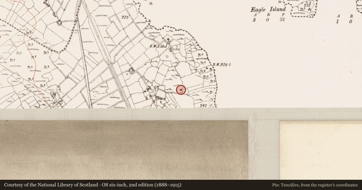 Ordnance Survey six-inch map, 2nd edition (1888–1915) covering the location of Ringfort - cashel, Falleens, County Sligo, with a pin at the register's coordinates
