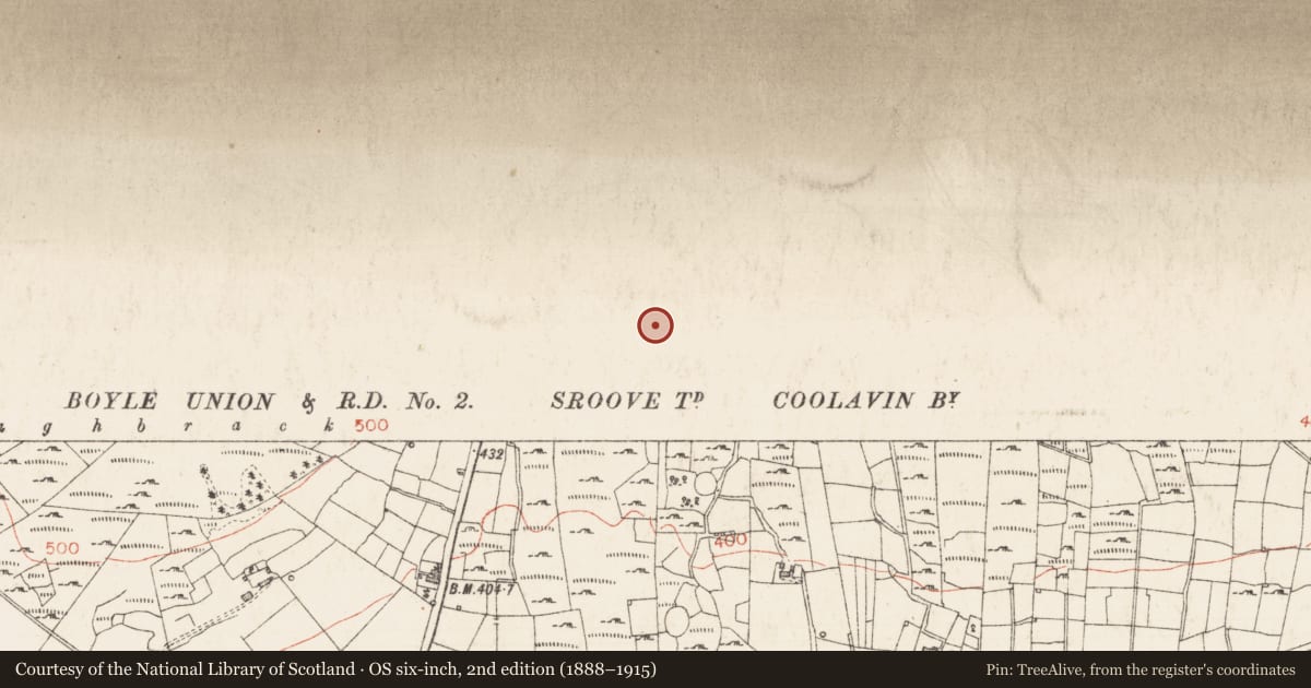 Ordnance Survey six-inch map, 2nd edition (1888–1915) covering the location of Ringfort - cashel, Sroove, County Sligo, with a pin at the register's coordinates
