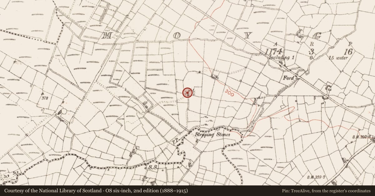 Ordnance Survey six-inch map, 2nd edition (1888–1915) covering the location of Ringfort - cashel, Moygara, County Sligo, with a pin at the register's coordinates