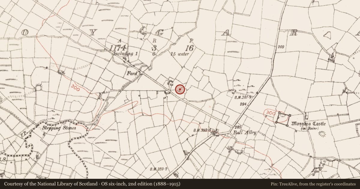 Ordnance Survey six-inch map, 2nd edition (1888–1915) covering the location of Ringfort - cashel, Moygara, County Sligo, with a pin at the register's coordinates