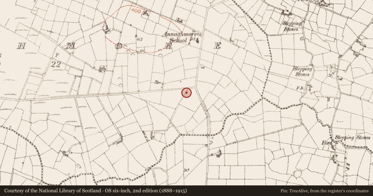 Ordnance Survey six-inch map, 2nd edition (1888–1915) covering the location of Barrow - unclassified, Annaghmore, County Sligo, with a pin at the register's coordinates
