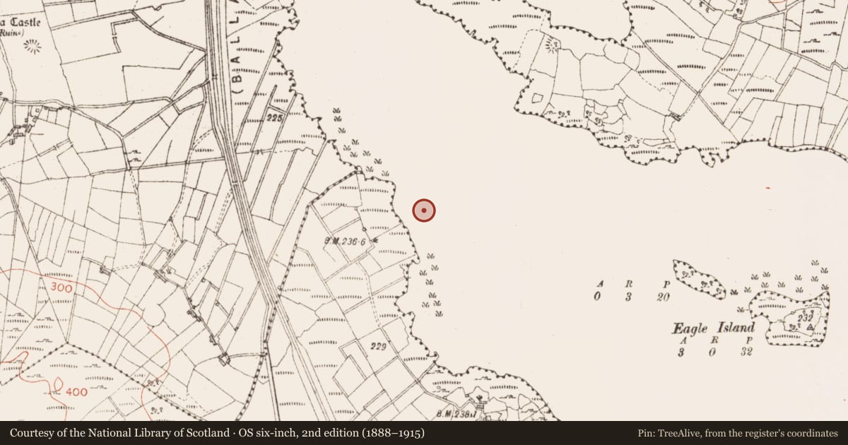 Ordnance Survey six-inch map, 2nd edition (1888–1915) covering the location of Crannog, Lough Gara, County Sligo, with a pin at the register's coordinates