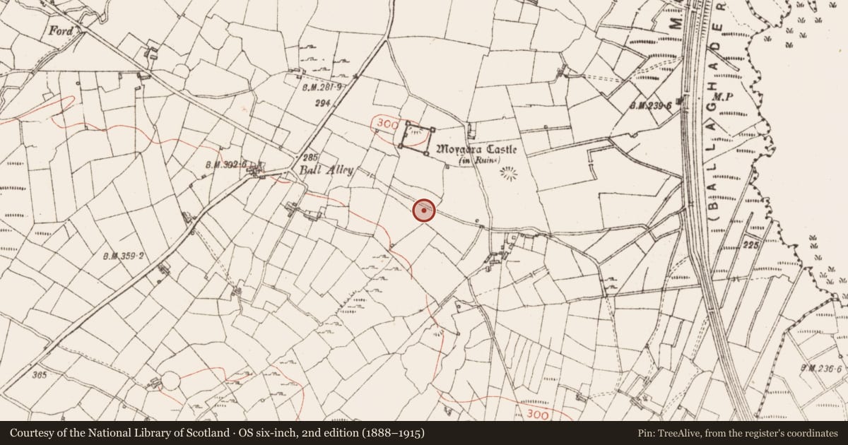 Ordnance Survey six-inch map, 2nd edition (1888–1915) covering the location of Fulacht fia, Moygara, County Sligo, with a pin at the register's coordinates