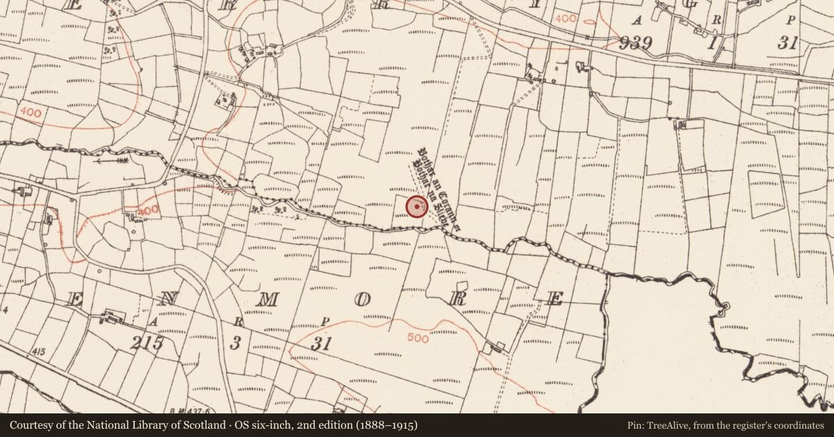 Ordnance Survey six-inch map, 2nd edition (1888–1915) covering the location of Road - road/trackway, Meenmore, Derrygolagh, County Sligo, with a pin at the register's coordinates