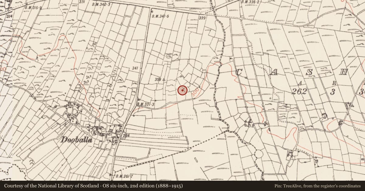 Ordnance Survey six-inch map, 2nd edition (1888–1915) covering the location of Ringfort - cashel, Mahanagh, County Sligo, with a pin at the register's coordinates