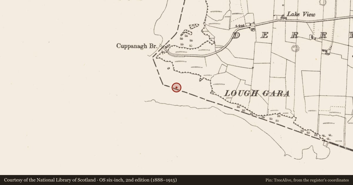 Ordnance Survey six-inch map, 2nd edition (1888–1915) covering the location of Crannog, Lough Gara, County Sligo, with a pin at the register's coordinates