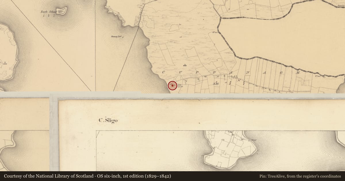 Ordnance Survey six-inch map, 1st edition (1829–1842) covering the location of Graveyard, Cuppanagh, County Sligo, with a pin at the register's coordinates