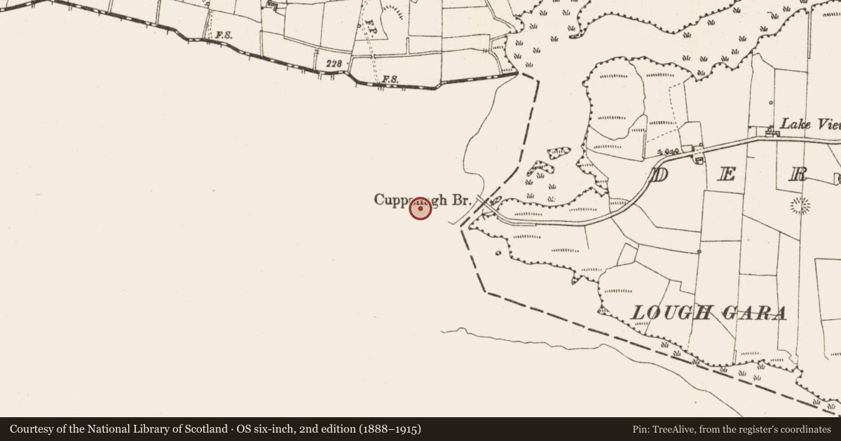 Ordnance Survey six-inch map, 2nd edition (1888–1915) covering the location of Enclosure, Cuppanagh, County Sligo, with a pin at the register's coordinates