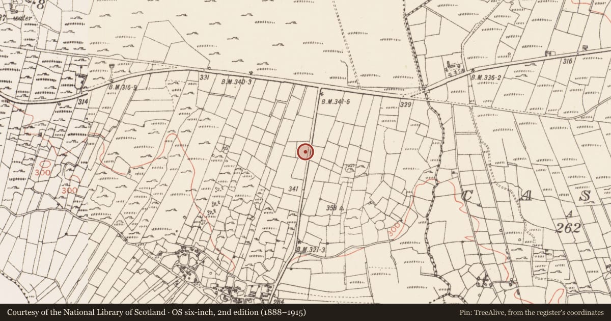 Ordnance Survey six-inch map, 2nd edition (1888–1915) covering the location of Kiln - lime, Mahanagh, County Sligo, with a pin at the register's coordinates