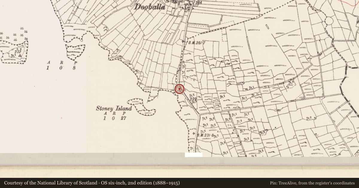 Ordnance Survey six-inch map, 2nd edition (1888–1915) covering the location of Ritual site - holy/saint's stone, Cuppanagh, County Sligo, with a pin at the register's coordinates
