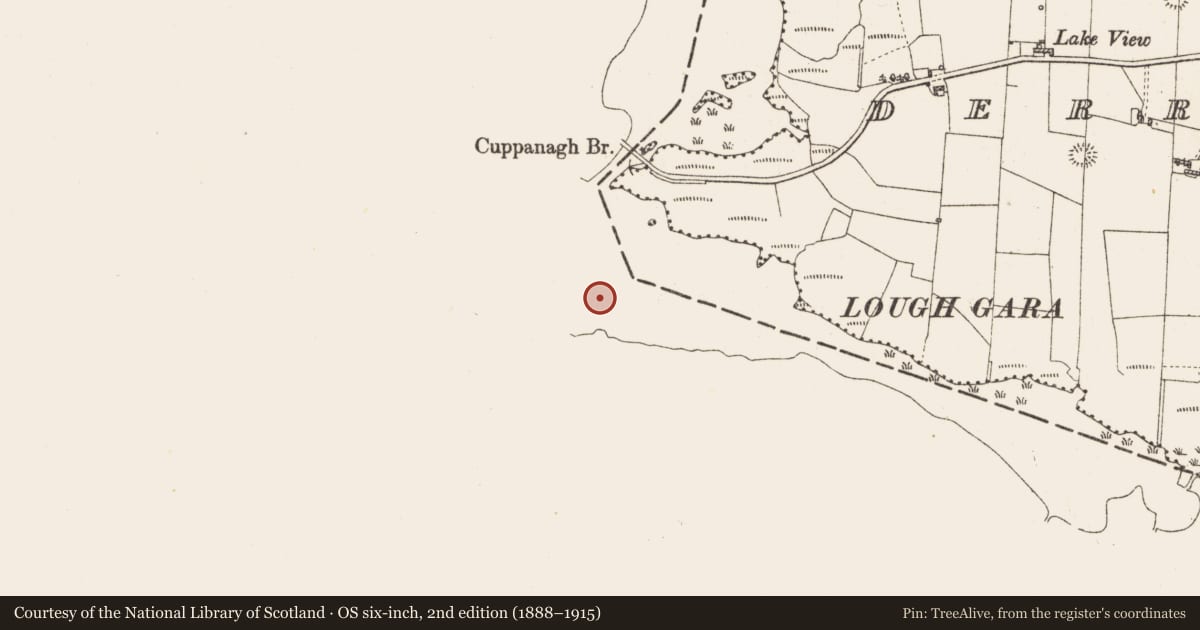 Ordnance Survey six-inch map, 2nd edition (1888–1915) covering the location of Crannog, Lough Gara, County Sligo, with a pin at the register's coordinates