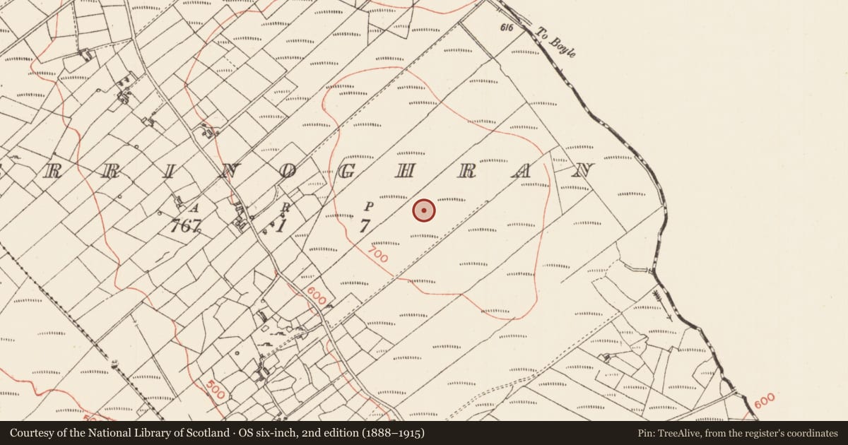Ordnance Survey six-inch map, 2nd edition (1888–1915) covering the location of Cairn - unclassified, Derrinoghran, County Sligo, with a pin at the register's coordinates