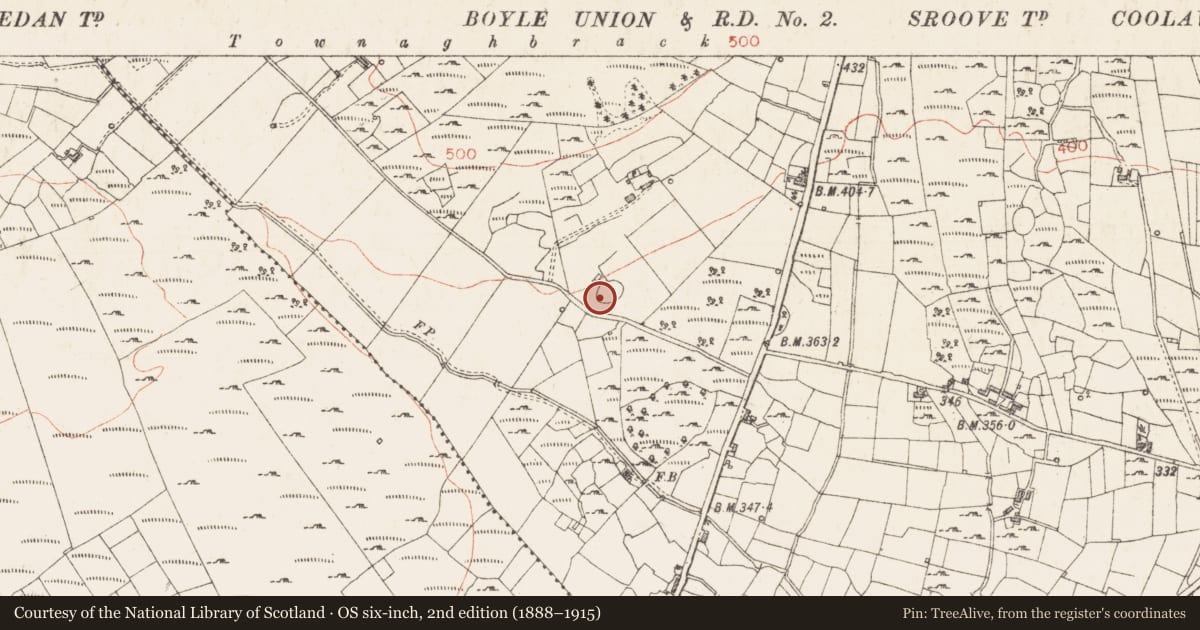 Ordnance Survey six-inch map, 2nd edition (1888–1915) covering the location of Ringfort - cashel, Sroove, County Sligo, with a pin at the register's coordinates