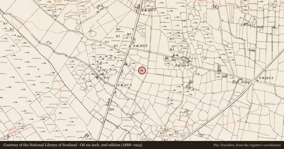 Ordnance Survey six-inch map, 2nd edition (1888–1915) covering the location of Cist, Sroove, County Sligo, with a pin at the register's coordinates