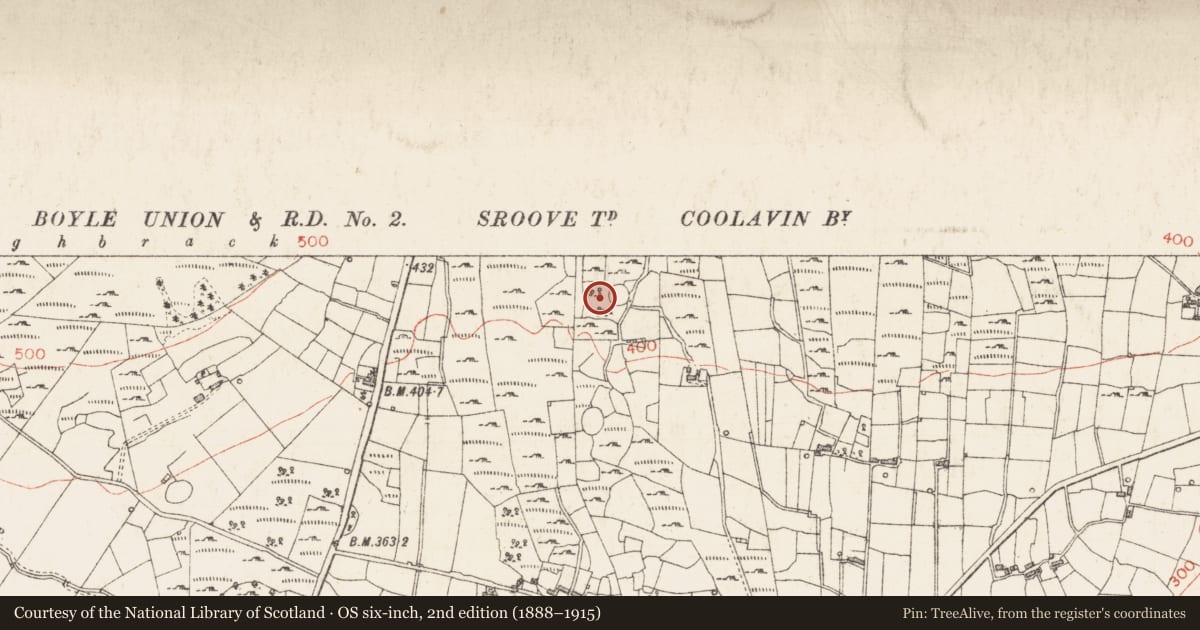 Ordnance Survey six-inch map, 2nd edition (1888–1915) covering the location of Ringfort - cashel, Sroove, County Sligo, with a pin at the register's coordinates