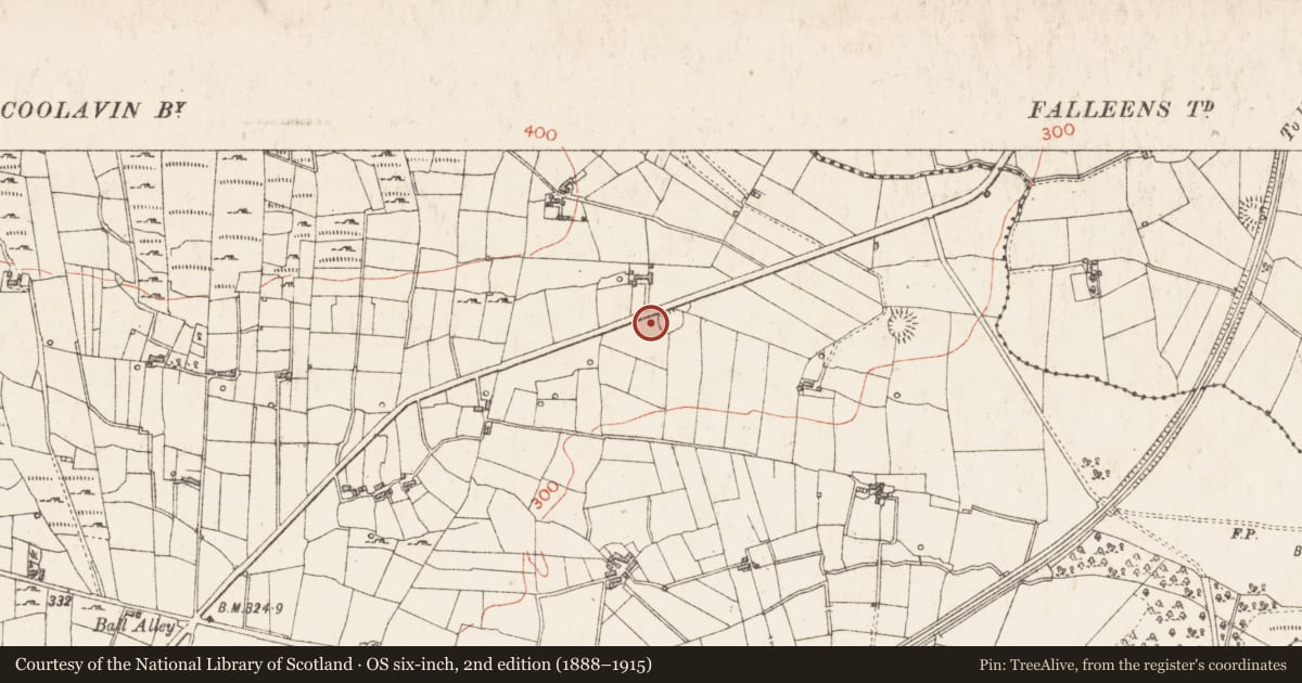 Ordnance Survey six-inch map, 2nd edition (1888–1915) covering the location of Ringfort - cashel, Sroove, County Sligo, with a pin at the register's coordinates