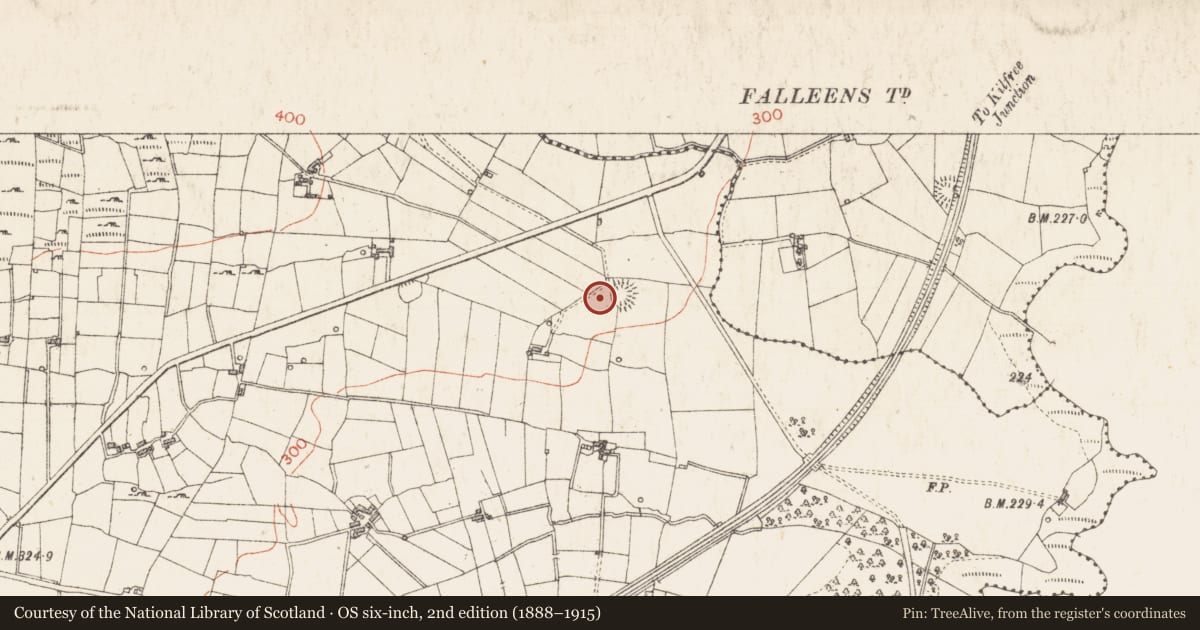 Ordnance Survey six-inch map, 2nd edition (1888–1915) covering the location of Ringfort - rath, Sroove, County Sligo, with a pin at the register's coordinates