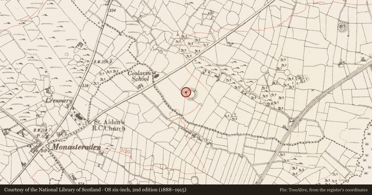 Ordnance Survey six-inch map, 2nd edition (1888–1915) covering the location of Souterrain, Sroove, County Sligo, with a pin at the register's coordinates
