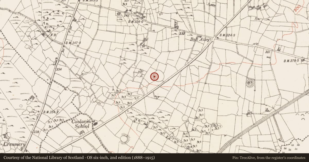 Ordnance Survey six-inch map, 2nd edition (1888–1915) covering the location of Ringfort - cashel, Sroove, County Sligo, with a pin at the register's coordinates