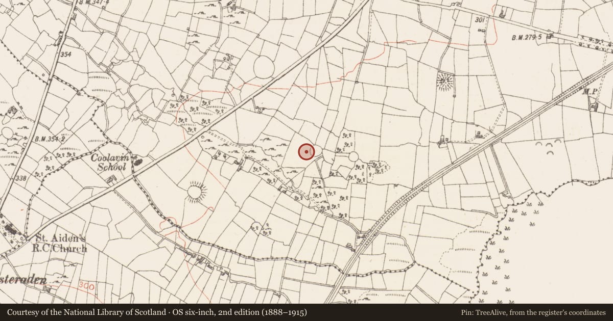 Ordnance Survey six-inch map, 2nd edition (1888–1915) covering the location of Ringfort - cashel, Sroove, County Sligo, with a pin at the register's coordinates