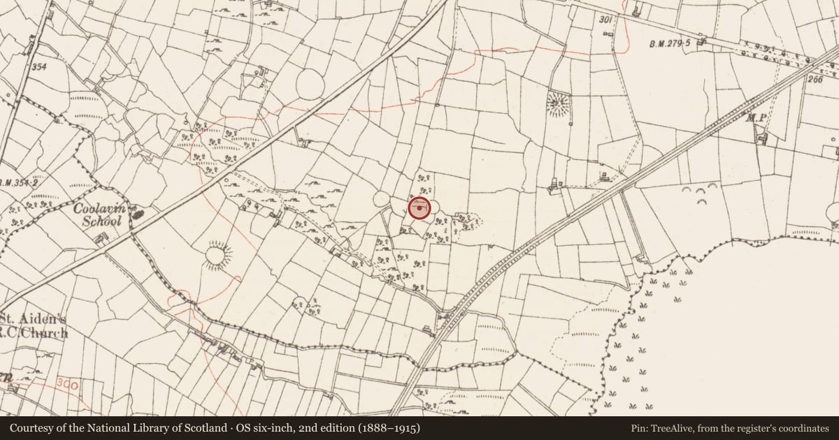 Ordnance Survey six-inch map, 2nd edition (1888–1915) covering the location of Ringfort - cashel, Sroove, County Sligo, with a pin at the register's coordinates