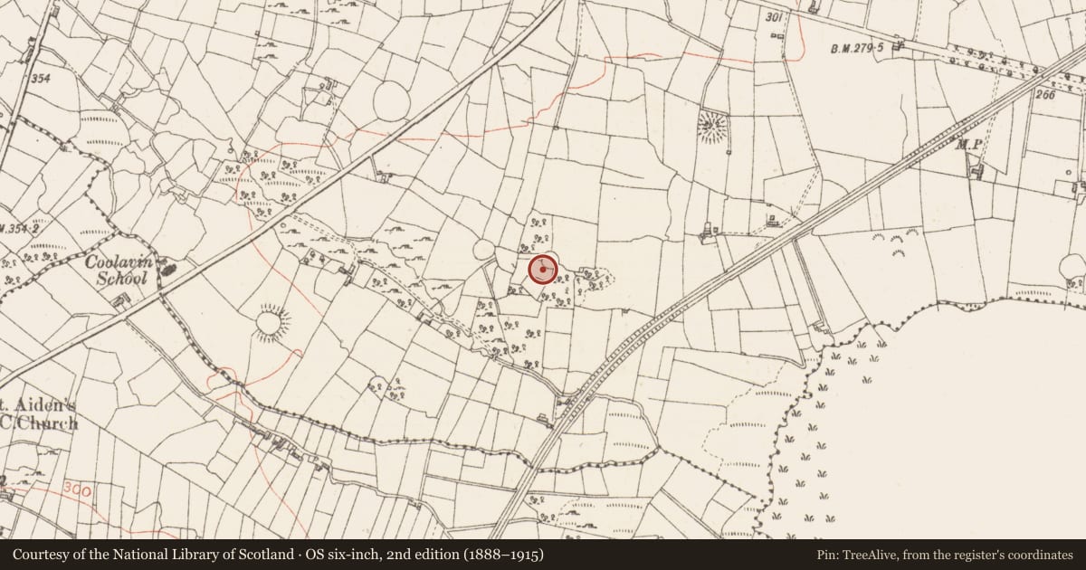 Ordnance Survey six-inch map, 2nd edition (1888–1915) covering the location of Hut site, Sroove, County Sligo, with a pin at the register's coordinates
