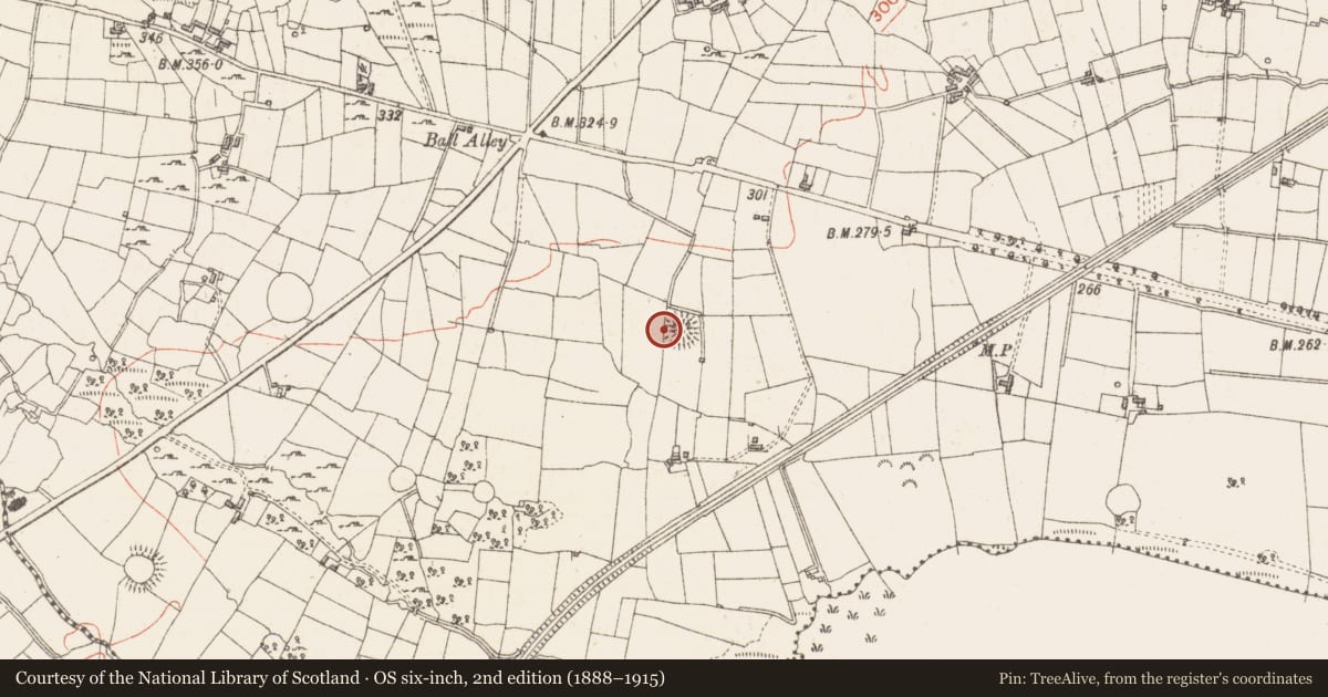 Ordnance Survey six-inch map, 2nd edition (1888–1915) covering the location of Ringfort - rath, Sroove, County Sligo, with a pin at the register's coordinates
