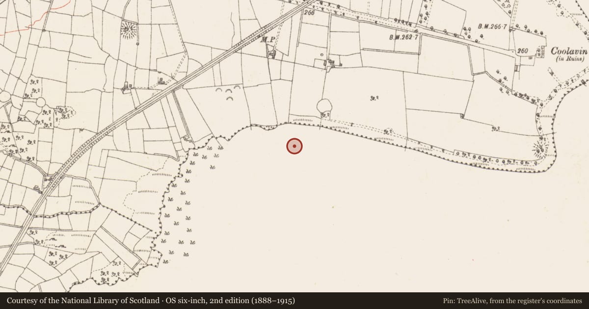Ordnance Survey six-inch map, 2nd edition (1888–1915) covering the location of Crannog, Lough Gara, County Sligo, with a pin at the register's coordinates