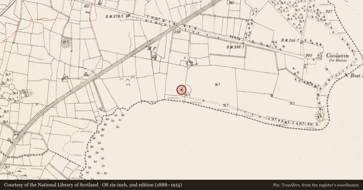 Ordnance Survey six-inch map, 2nd edition (1888–1915) covering the location of Ringfort - cashel, Sroove, County Sligo, with a pin at the register's coordinates