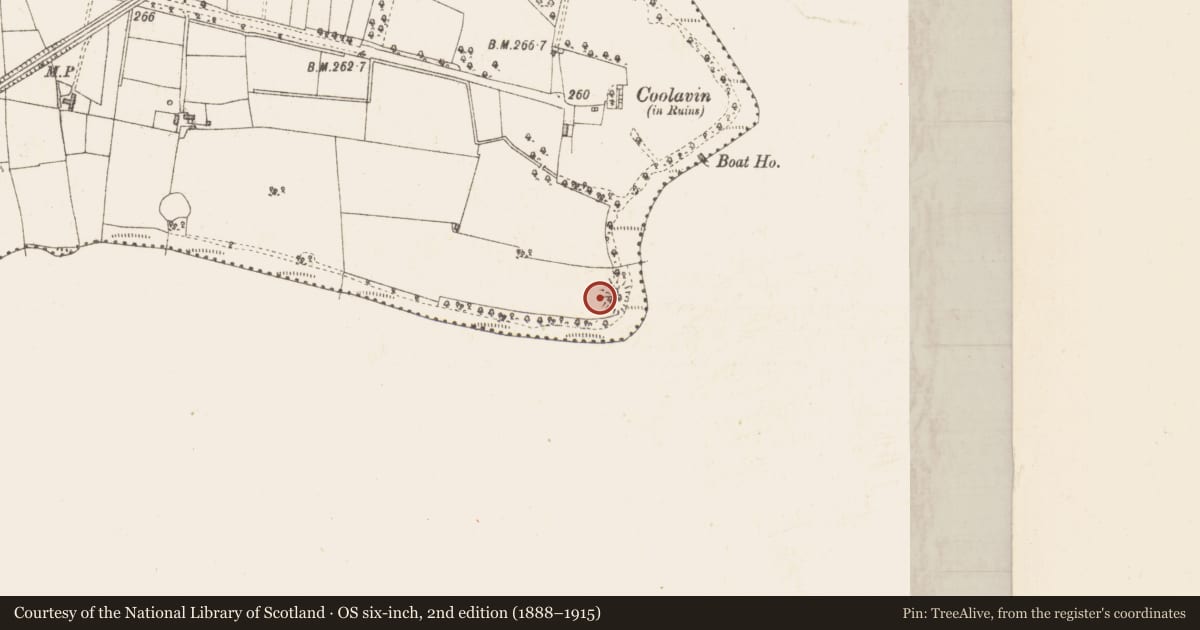 Ordnance Survey six-inch map, 2nd edition (1888–1915) covering the location of Ringfort - rath, Sroove, County Sligo, with a pin at the register's coordinates