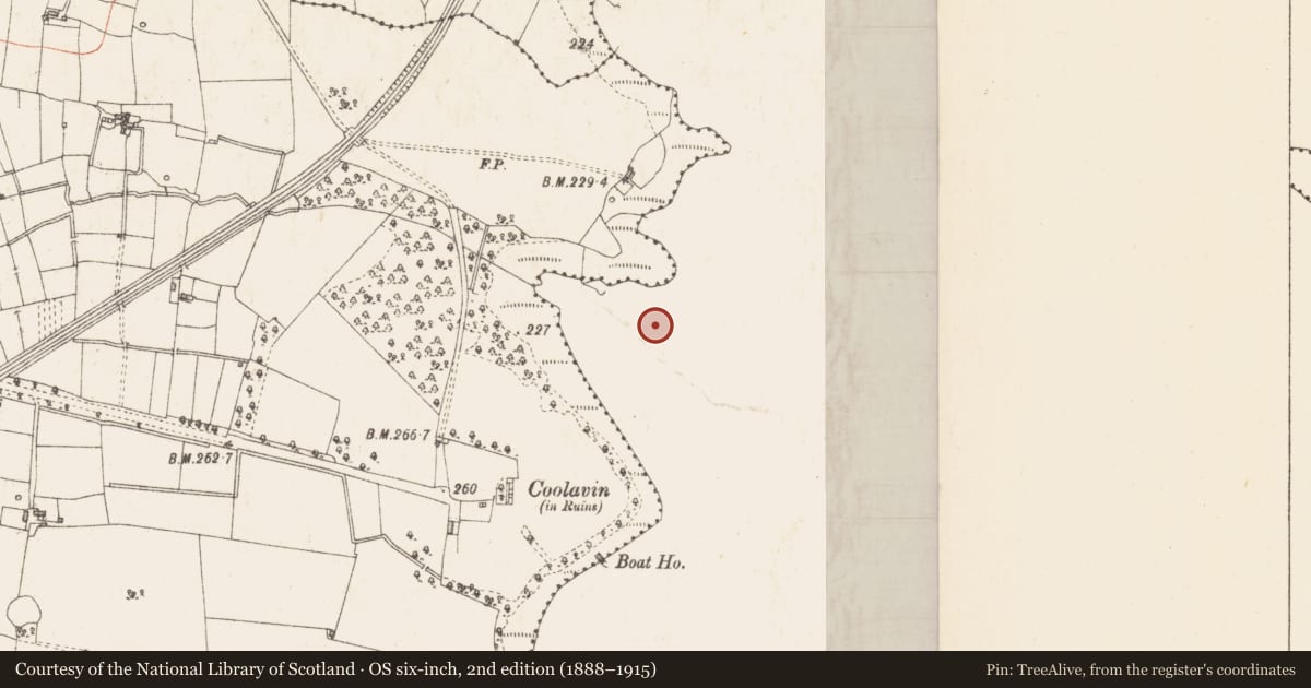 Ordnance Survey six-inch map, 2nd edition (1888–1915) covering the location of Crannog, Lough Gara, County Sligo, with a pin at the register's coordinates
