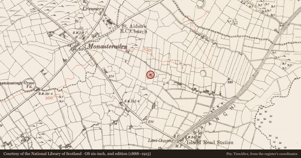 Ordnance Survey six-inch map, 2nd edition (1888–1915) covering the location of Ringfort - cashel, Tawnymucklagh, County Sligo, with a pin at the register's coordinates
