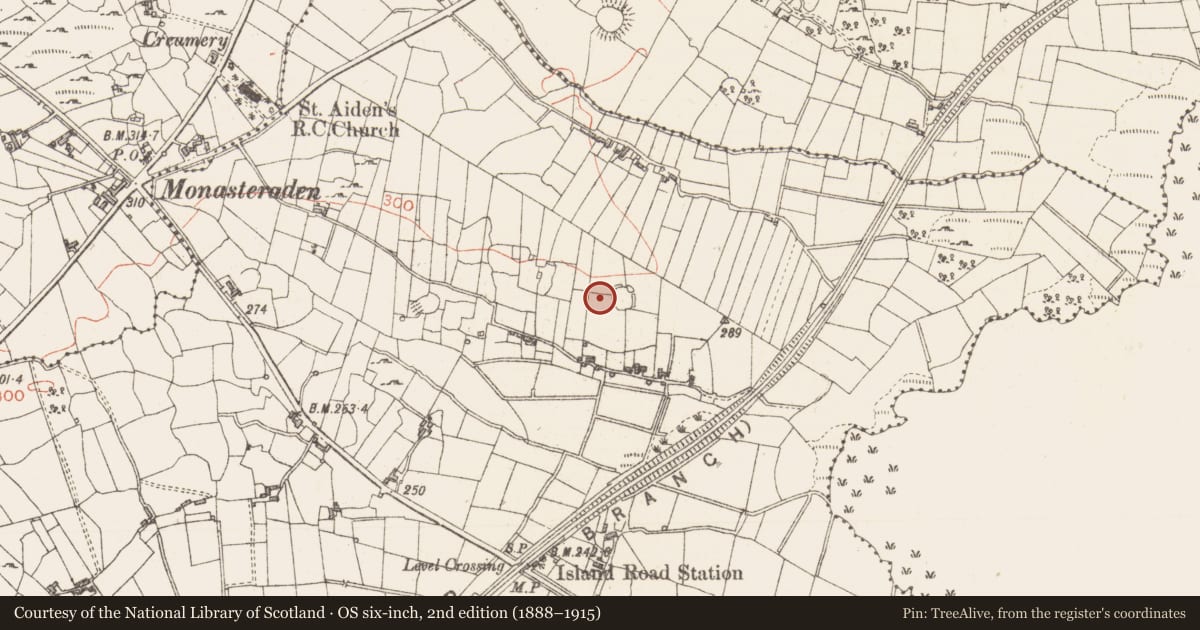 Ordnance Survey six-inch map, 2nd edition (1888–1915) covering the location of Souterrain, Tawnymucklagh, County Sligo, with a pin at the register's coordinates